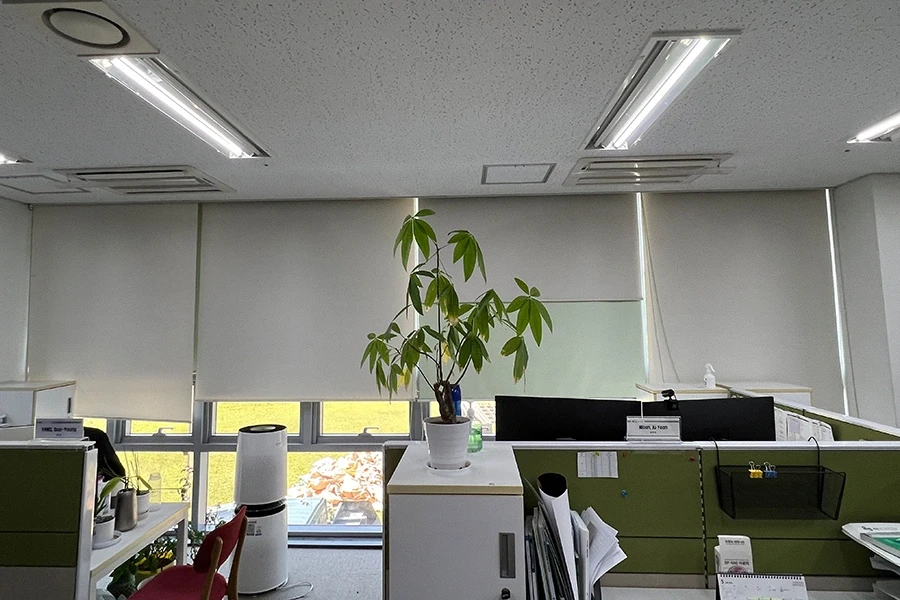 대학원 사무공간 열차단필름 시공 – 책상 주변 마감